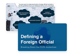 Defining a Foreign Official