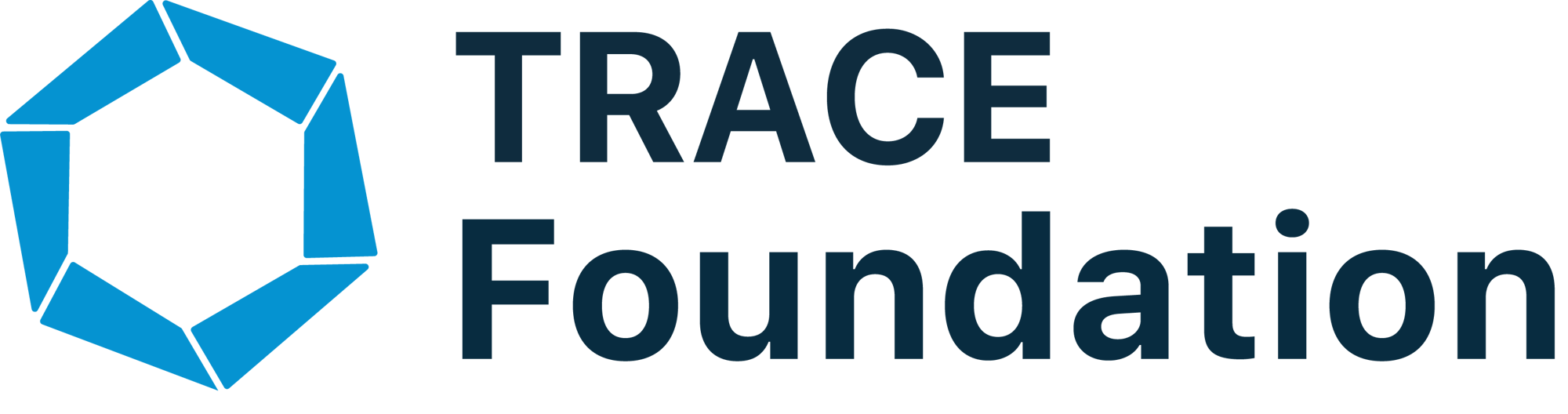 TRACE Foundation Logo (2025)